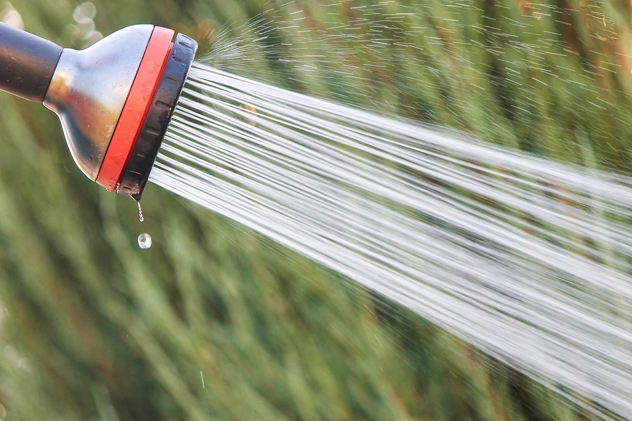Water Jet Shower Garden Showerhead  - manfredrichter / Pixabay